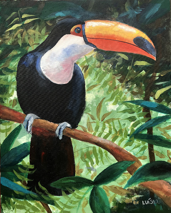 Tucano - 40 x 50 - AST - 2019